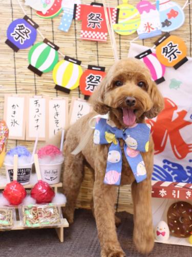 20240707テディくん